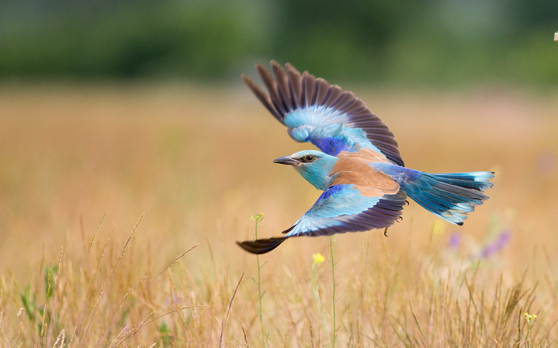 详细阅读:开云网页版登录入口-VALORANT 战队阵容调整成效显著,valorant联赛 开云网页版登录入口-VALORANT 战队阵容调整成效显著,valorant联赛