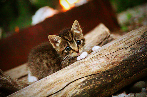 详细阅读:kaiyun中国官方网站-_智能运动手环:助力健康管理新革命_,智能手环运动模式有什么用 kaiyun中国官方网站-_智能运动手环:助力健康管理新革命_,智能手环运动模式有什么用