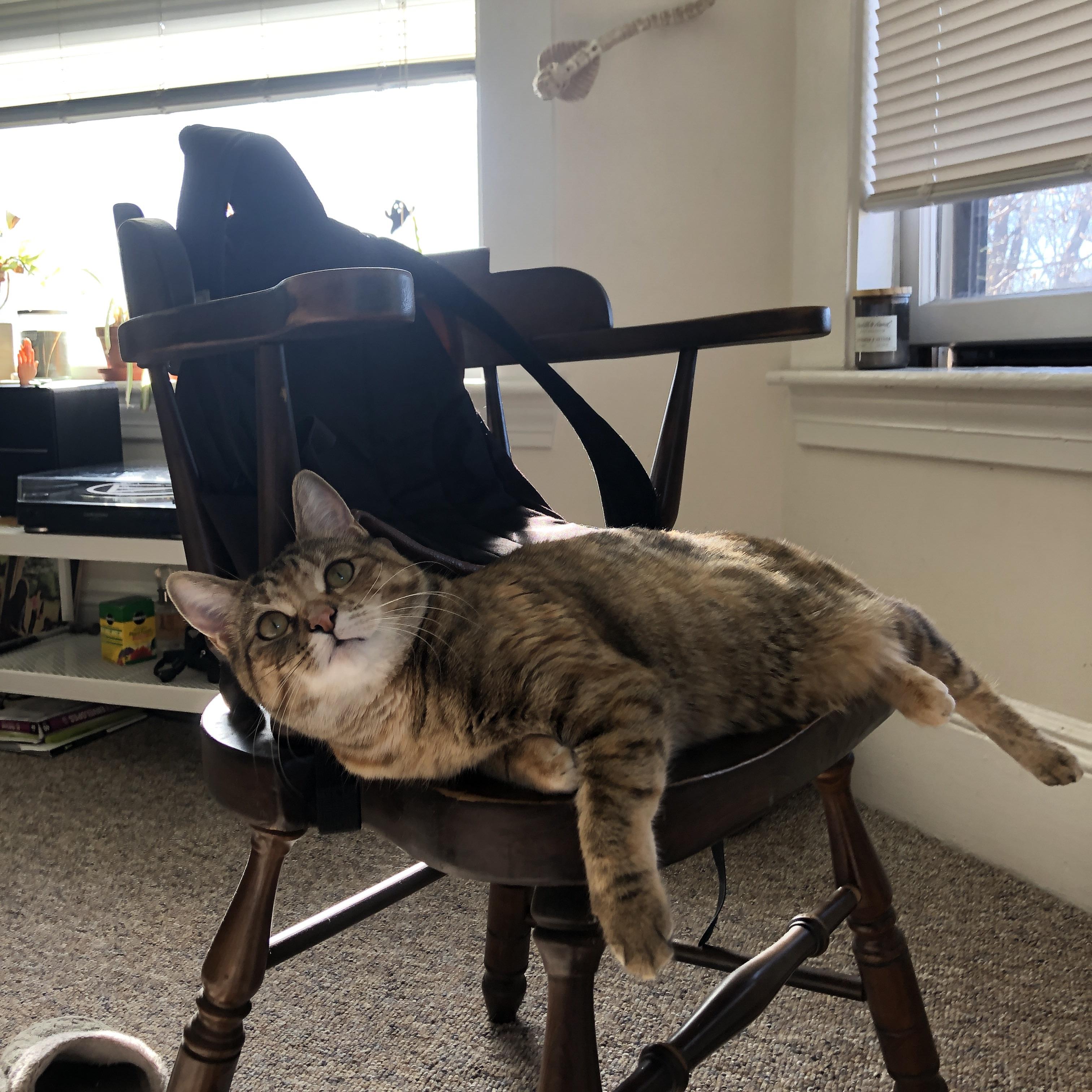 详细阅读:开云·Kaiyun网页版-_未来运动科技展:创新引领体育新时代_,未来体育发展 开云·Kaiyun网页版-_未来运动科技展:创新引领体育新时代_,未来体育发展