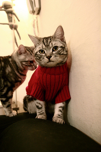 开云官方网站-《《绝地求生》优化载具系统,游戏玩法更加丰富》,绝地求生优化软件哪个好