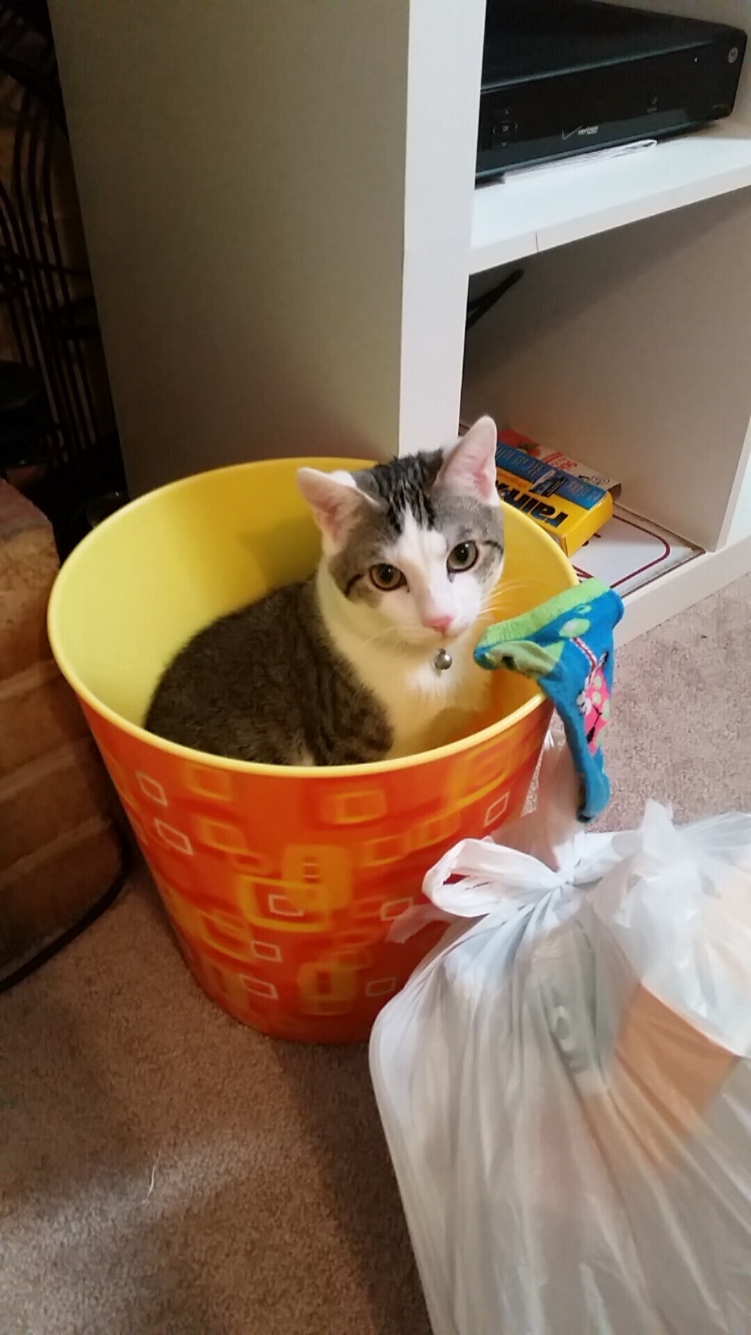 开云中国-全球车迷狂欢：不同国家的赛场习俗，国外赛车场地