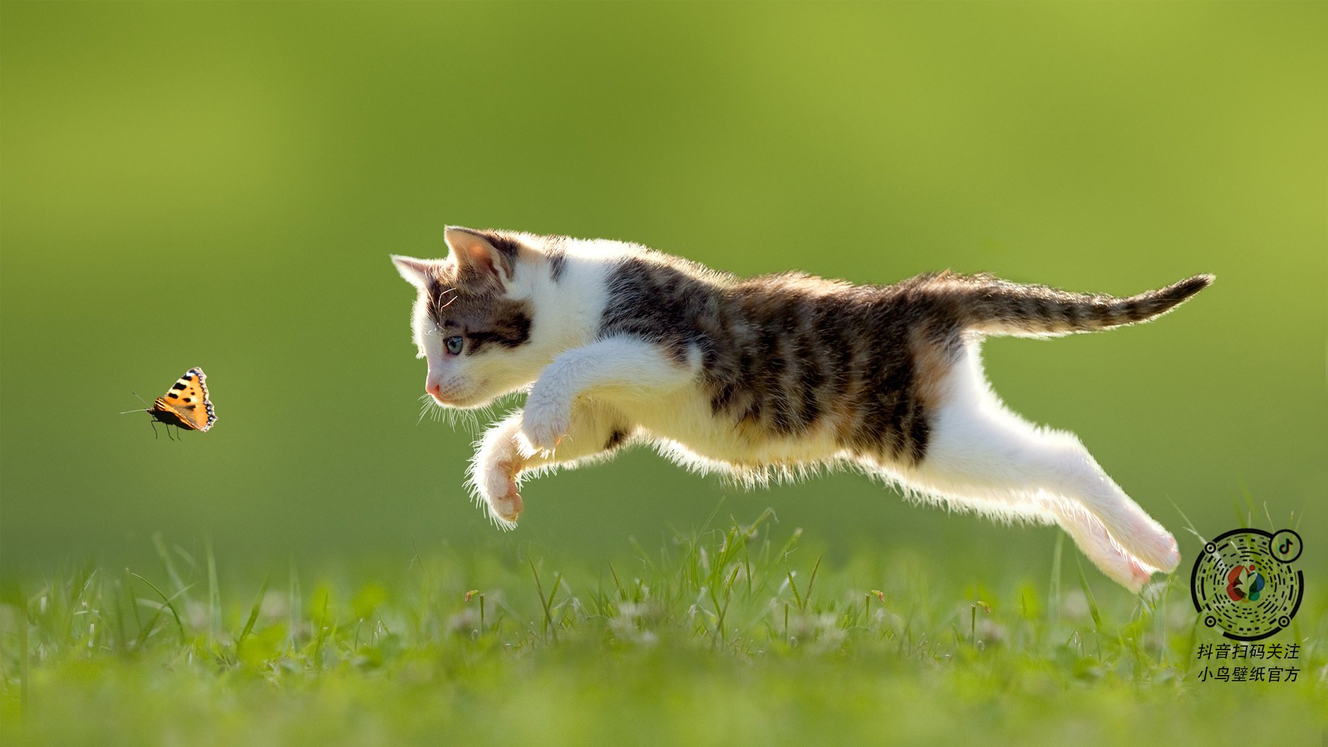 KAIYUNAPP-国足新帅上任,誓言带队冲击2026世界杯,国足新主帅最新人选