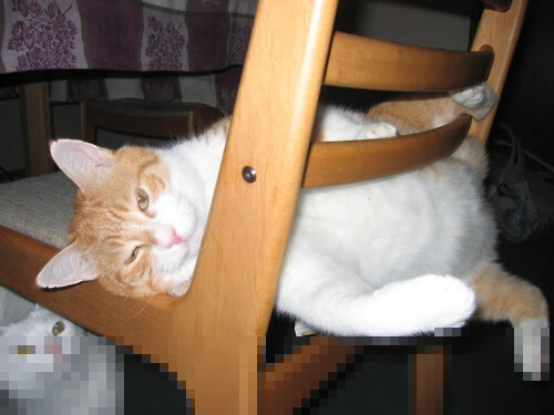 详细阅读:开云官方网页登录-国际雪地摩托挑战赛,冰雪中极速驰骋的勇士,雪地摩托历史 开云官方网页登录-国际雪地摩托挑战赛,冰雪中极速驰骋的勇士,雪地摩托历史