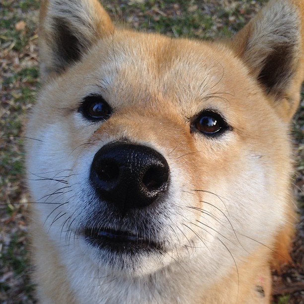 开云官网APP下载-威尔士国家队计划调整阵型备战国际比赛,威尔士国家队最新阵容