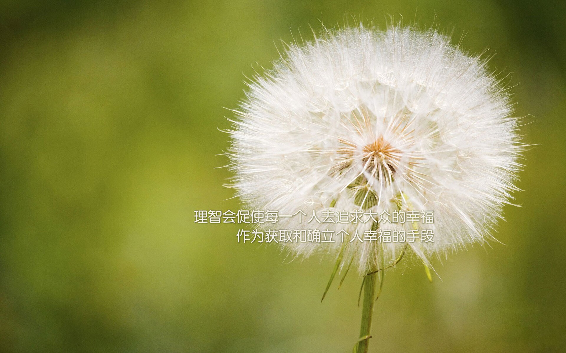 kaiyun官方入口登录-广东宏远球队替补阵容贡献提升，广东宏远替补队员