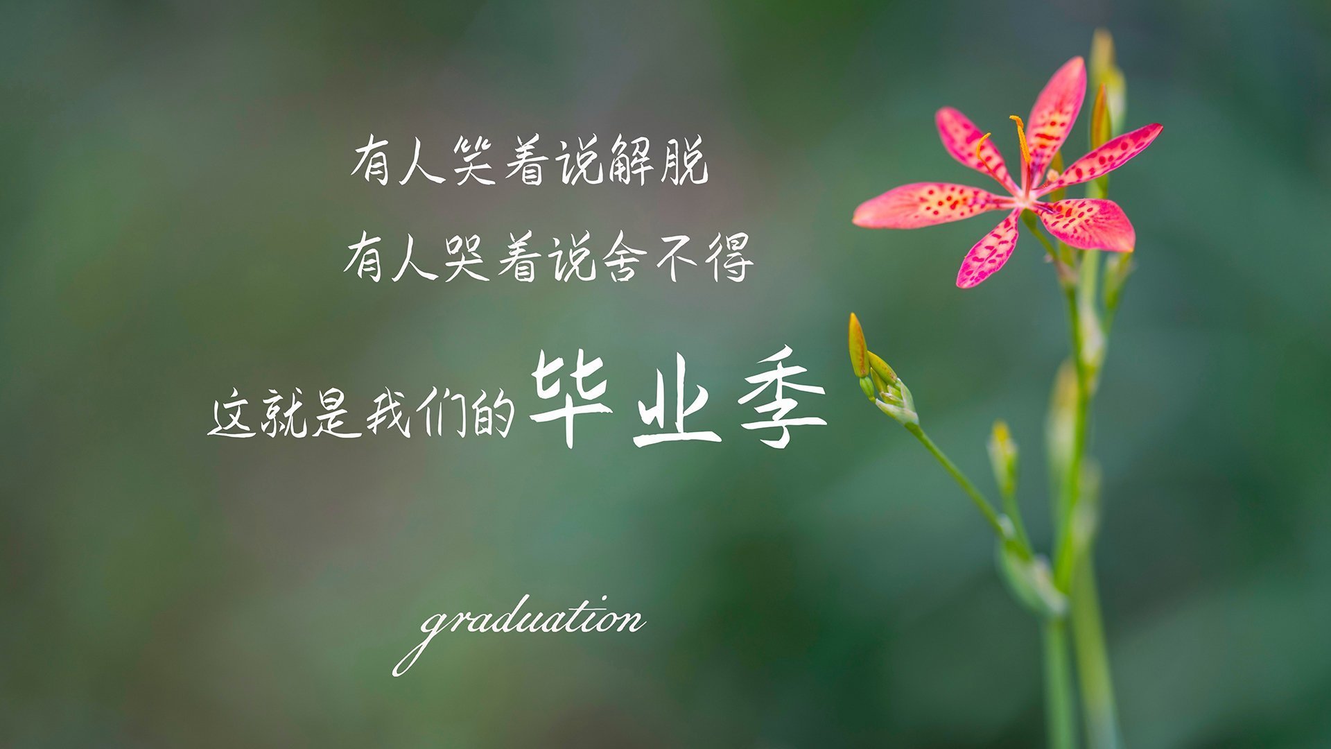 开云官网-捷克队战平乌克兰，战绩或影响晋级形势，捷克 战绩