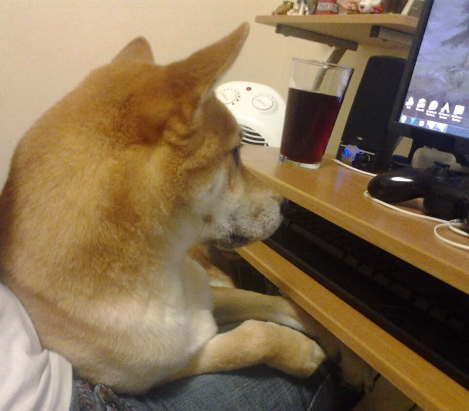 KAIYUNAPP-日本队实力挑战：雄心勃勃与荷兰队对阵，日本对荷兰足球