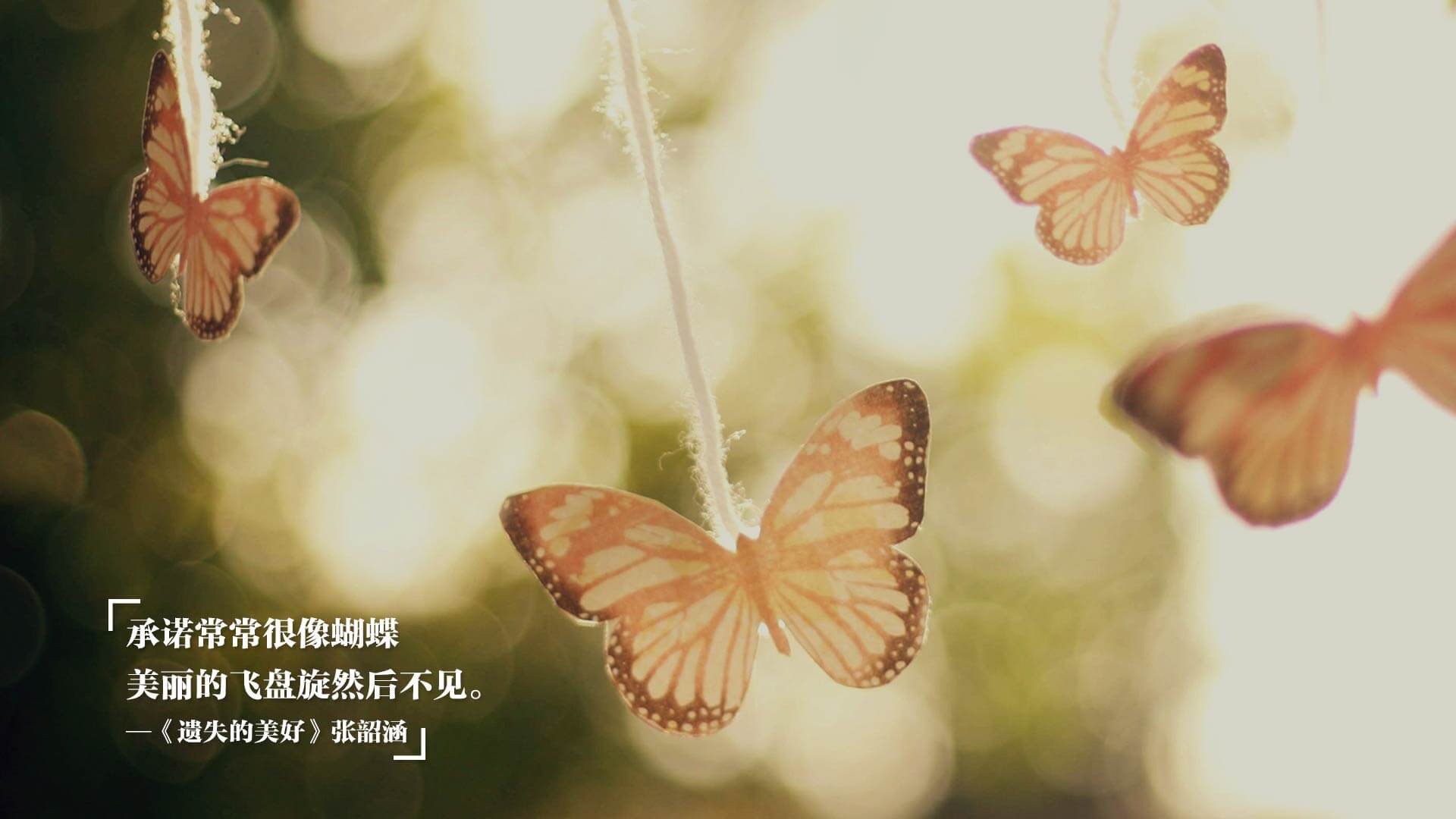 开云网站-本泽马荣获欧洲杯金球奖，本泽马欧冠