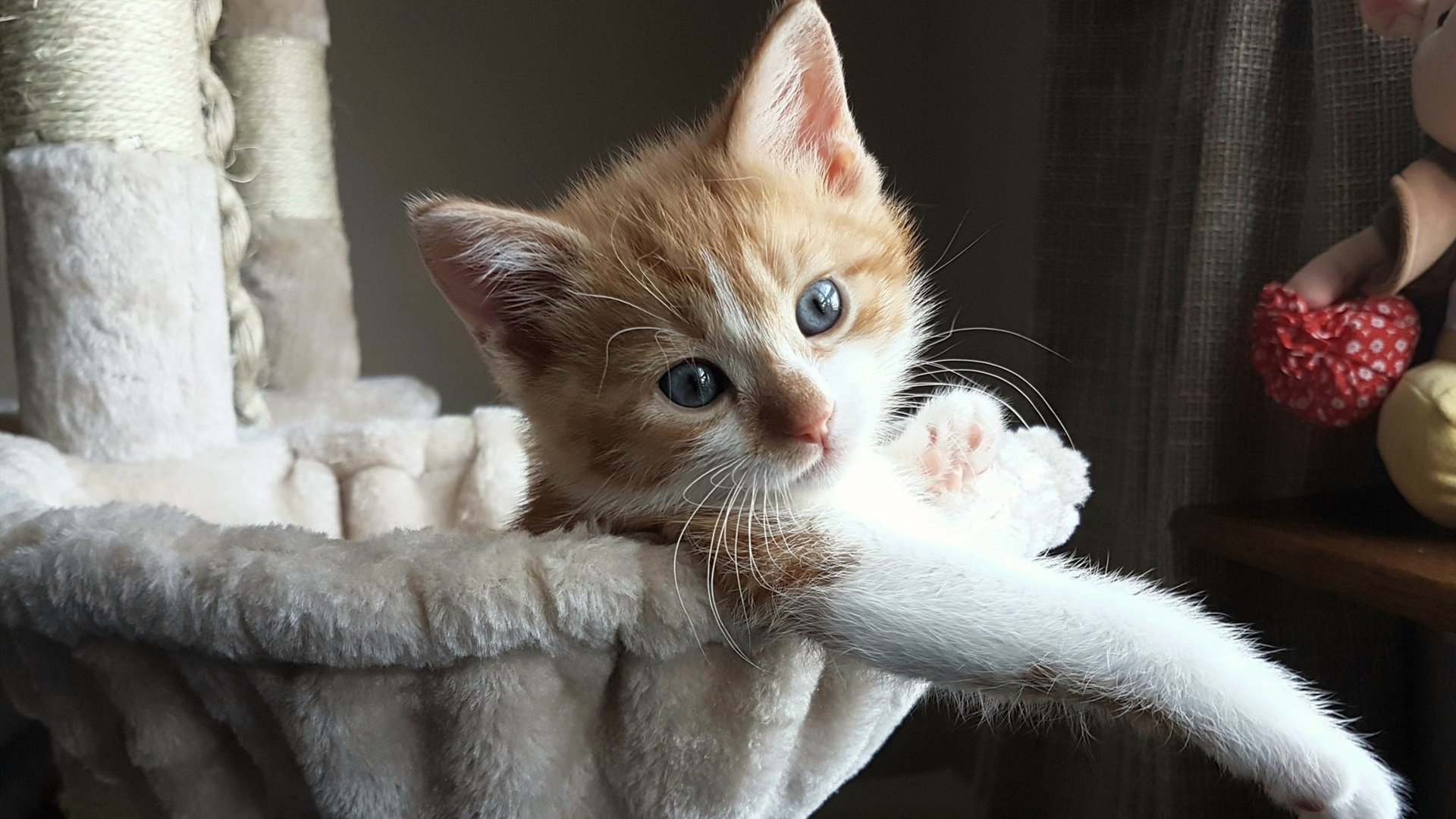 开云平台-里昂后防线团结相助，成功化解对手凶险进攻，里昂加强