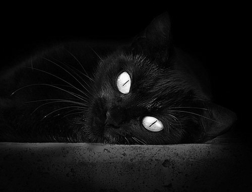 kaiyun中国官方网站-马德里竞技乘胜追击,晋级欧冠半决赛,马德里竞技 欧冠决赛