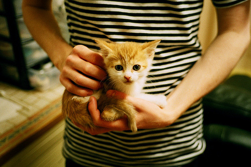 kaiyun中国官方网站-科学管理体系研究,科学管理体制