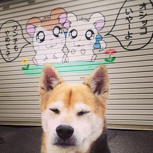 开云网页版-中国男篮替补阵容发挥出色 赢得宝贵经验,中国男篮替补阵容发挥出色 赢得宝贵经验的球员