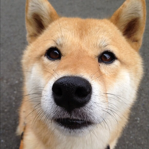 开云中国-俱乐部青训与职业联赛脱节严重，青训俱乐部球员合同完整版