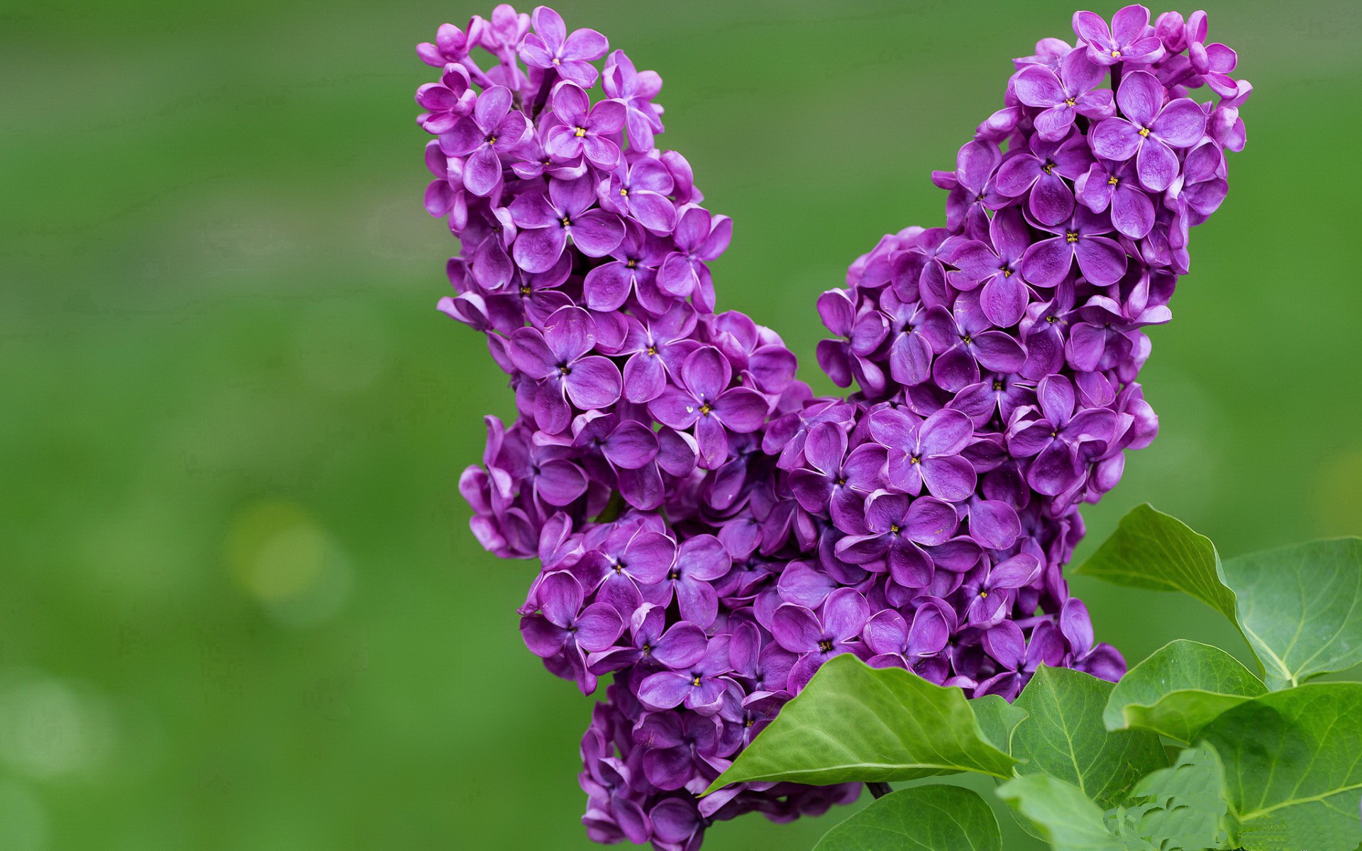 kaiyun官方入口登录-接力战术灵活多变,团队配合紧密,参与团队接力