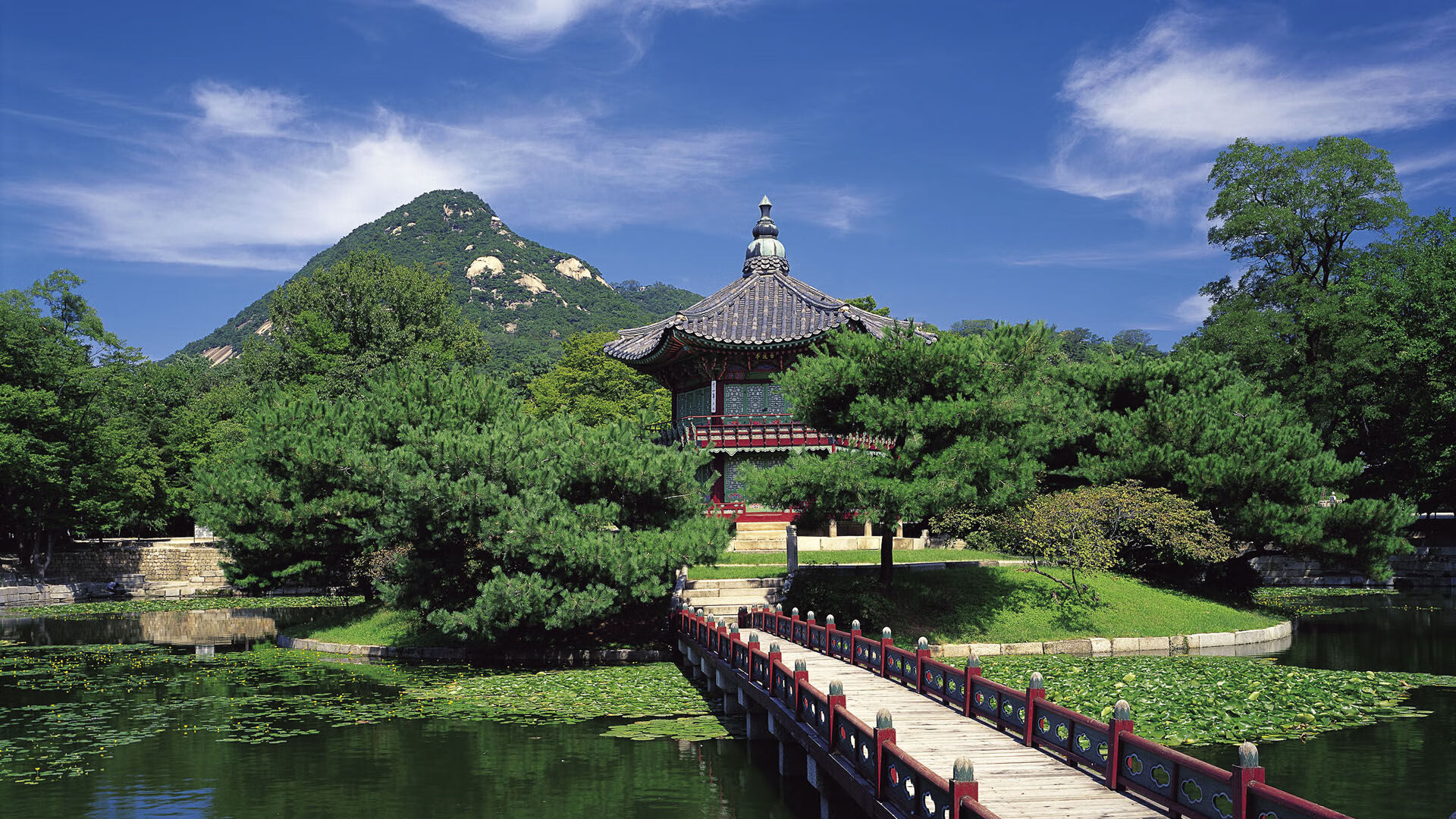 kaiyun体育综合-澳女队团队配合流畅受赞誉,澳女超ds