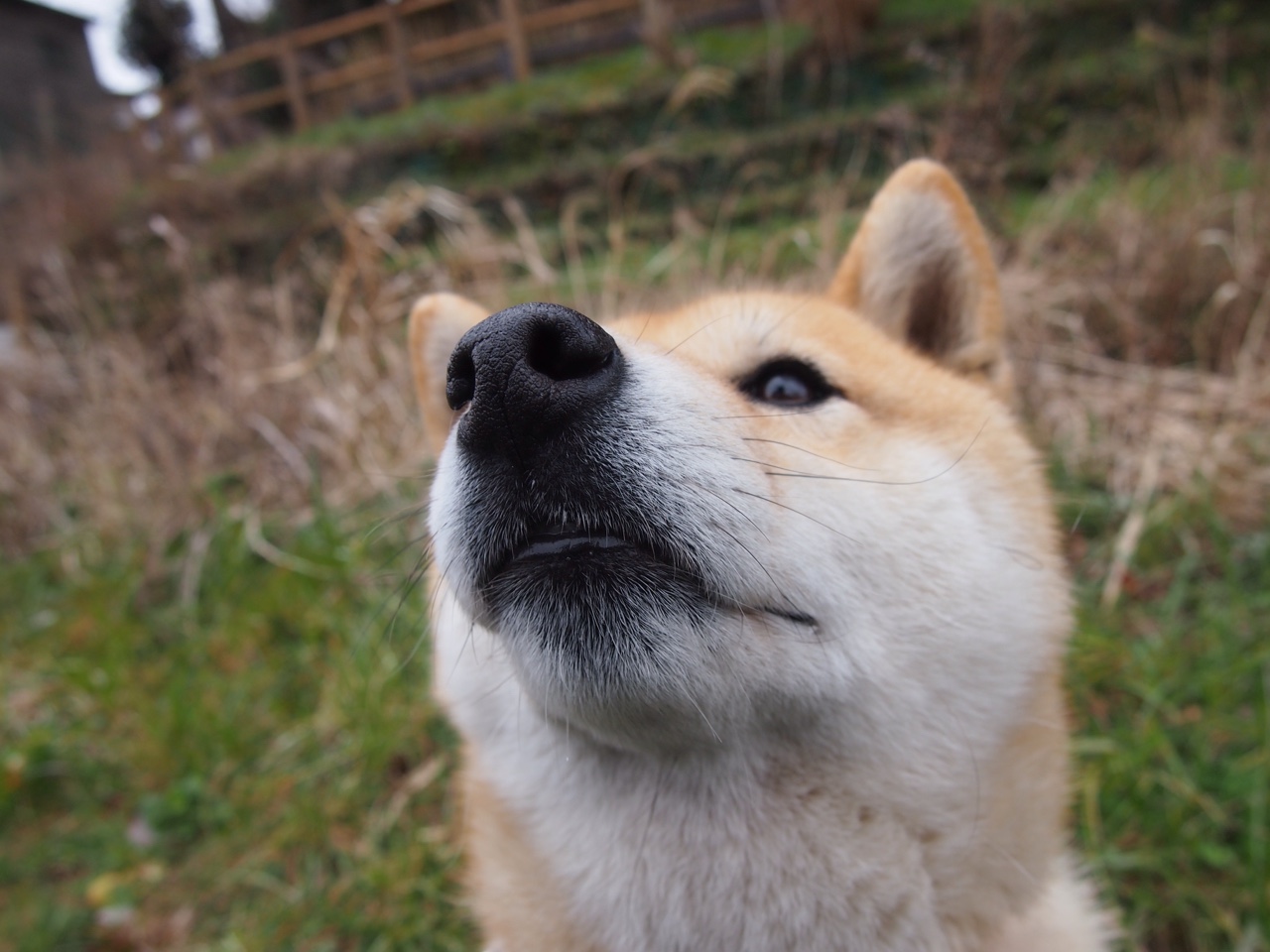 详细阅读:kaiyun.com-电竞赛事转播技术升级引领高清体验,电竞转播技术招聘 kaiyun.com-电竞赛事转播技术升级引领高清体验,电竞转播技术招聘