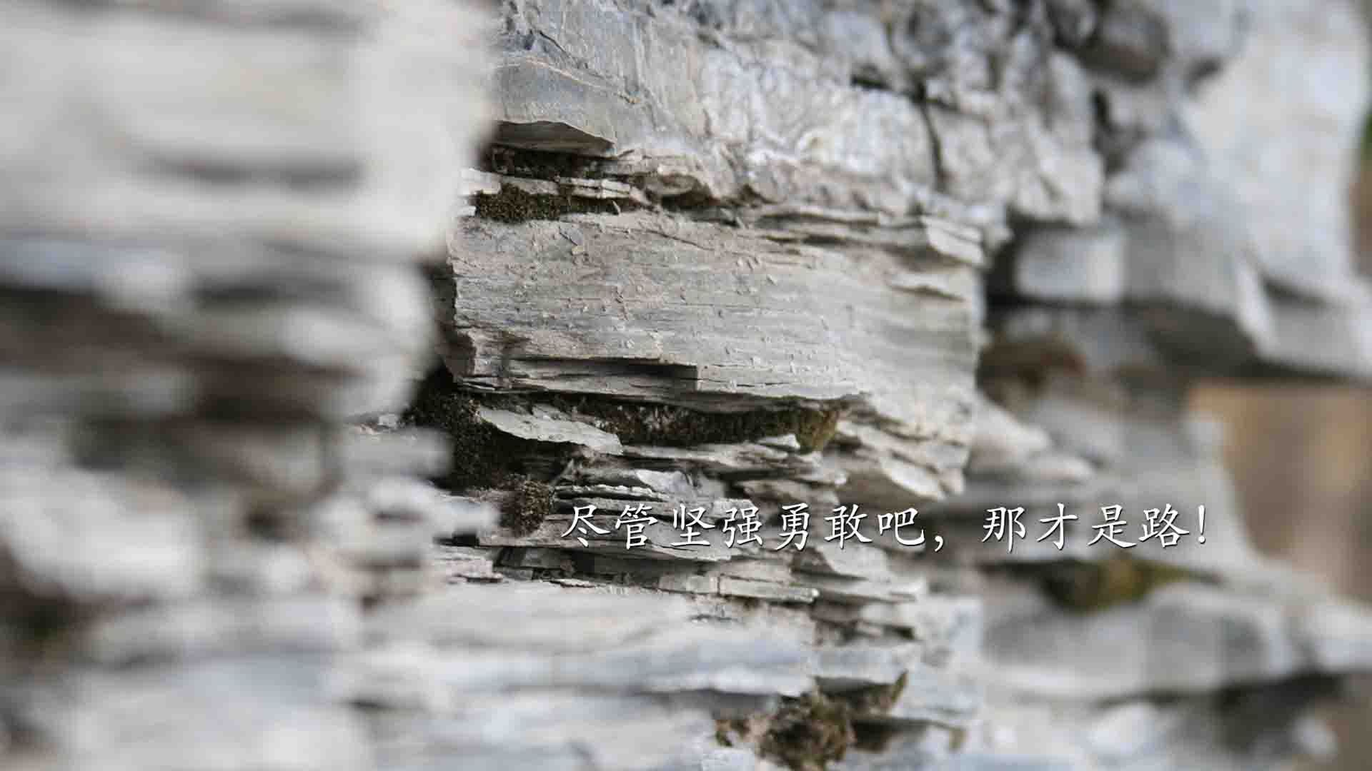 开云·Kaiyun网页版-王楚钦再夺冠军乒乓球团体赛，王楚钦再夺冠军乒乓球团体赛赢了吗